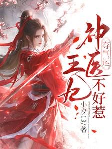 气神医毒妃不好惹