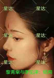 黎青棠与季见津:+后续+结局