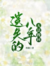 遗失的八年，无法挽回
