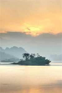 双面追踪都市谜影