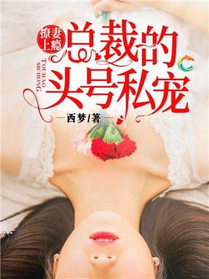 撩妻上瘾：总裁的头号私宠