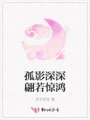 孤影深深翩若惊鸿