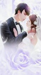 主角陈淑怡周志宁全章节阅读