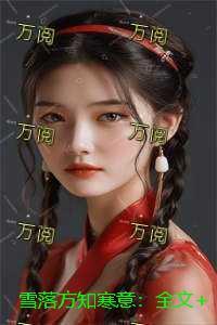 雪落方知寒意：全文+后续