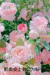 拍卖会上老公为秘书点天灯,我选择一跟到底